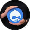Drupal CMS Website Development Company
