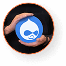 DRUPAL DEVELOPMENT COMPANY