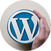 WordPress CMS Website Development Company